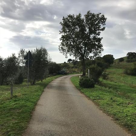 Podere Pini Magliano in Toscana Buitenkant foto