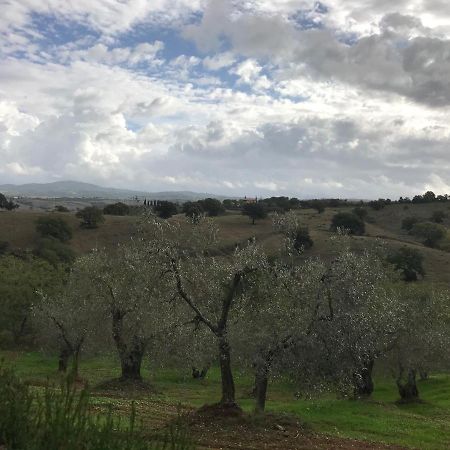 Podere Pini Magliano in Toscana Buitenkant foto